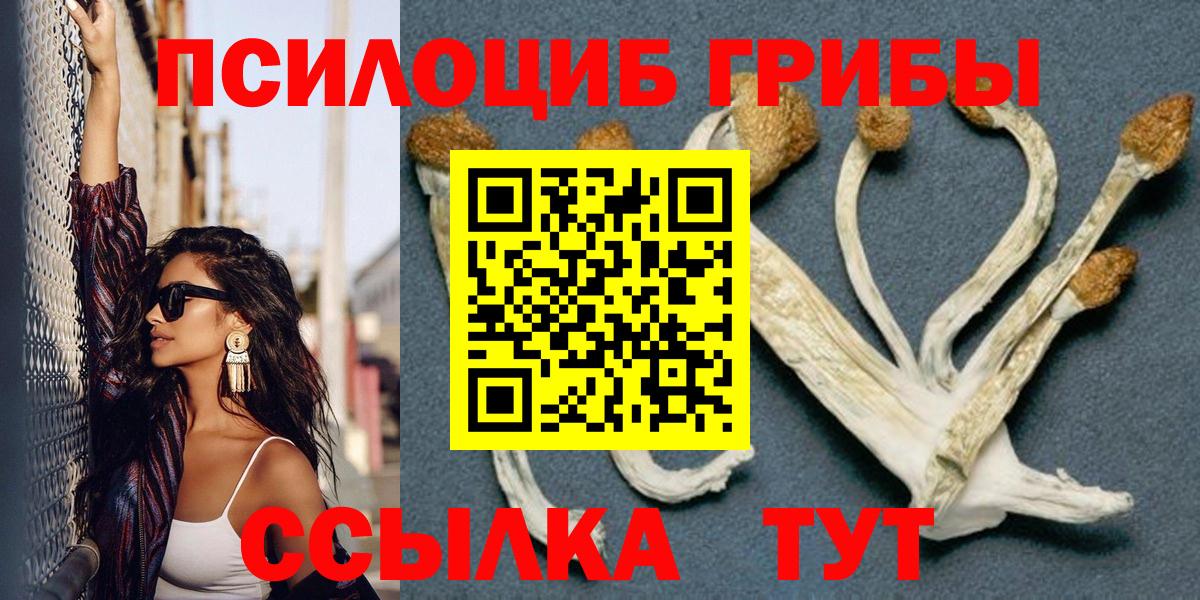 Псилоцибиновые грибы Cubensis Шелехов