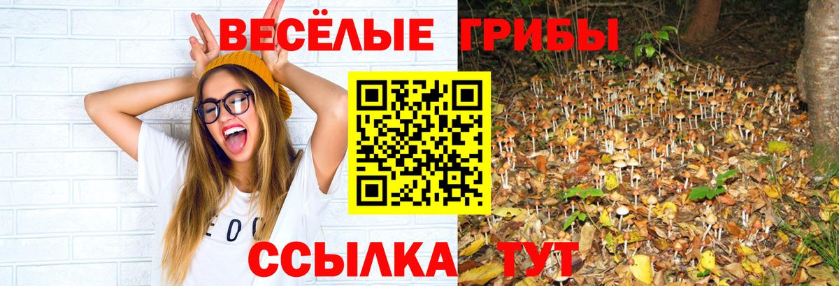 Шелехов  Галлюциногенные грибы Cubensis  Вход с VPN 